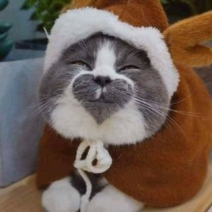 Meet your Posher, Mike